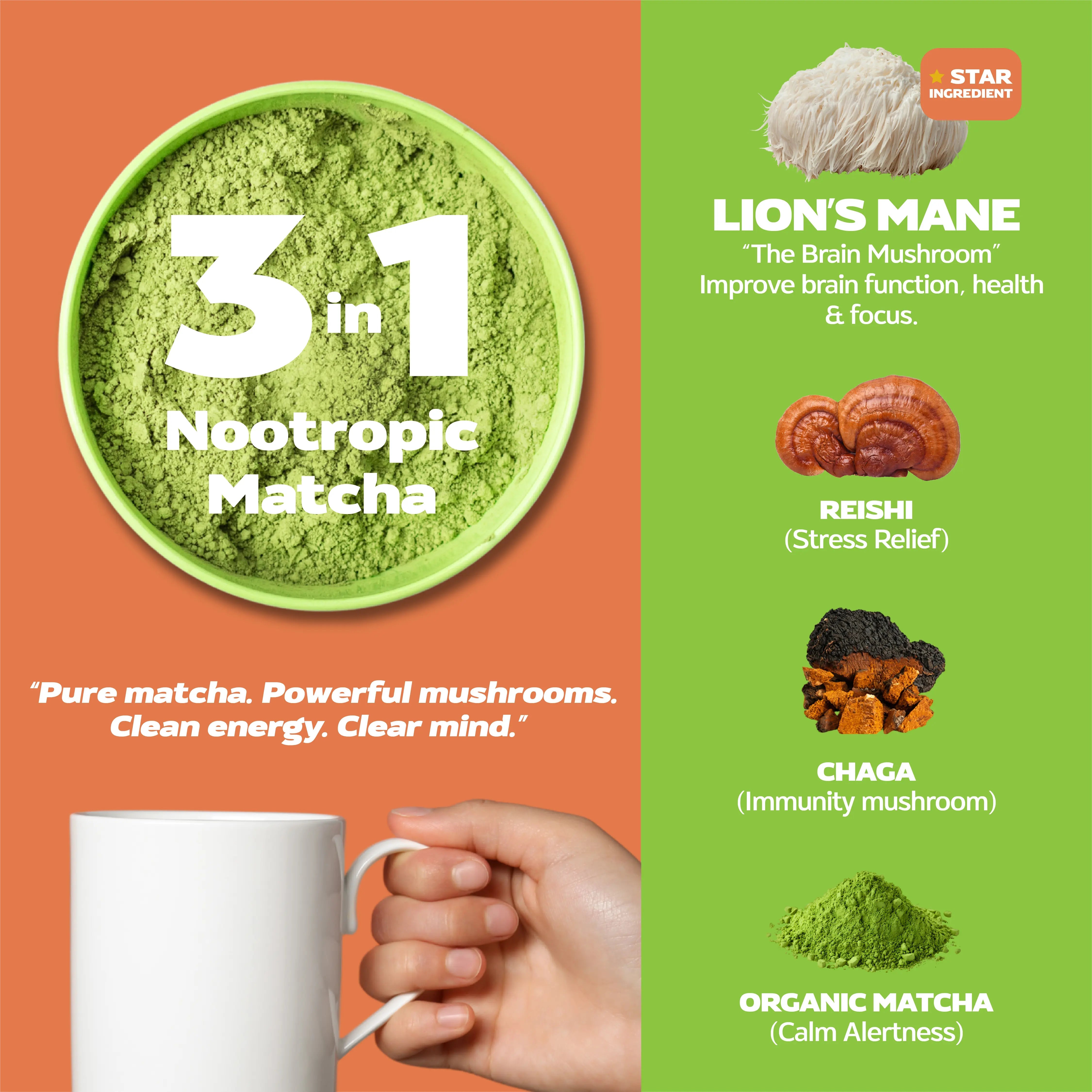 Matcha Blend – Instant Adaptogens Matcha for Focus, Energy & Vitality Mushroomy Pakistan