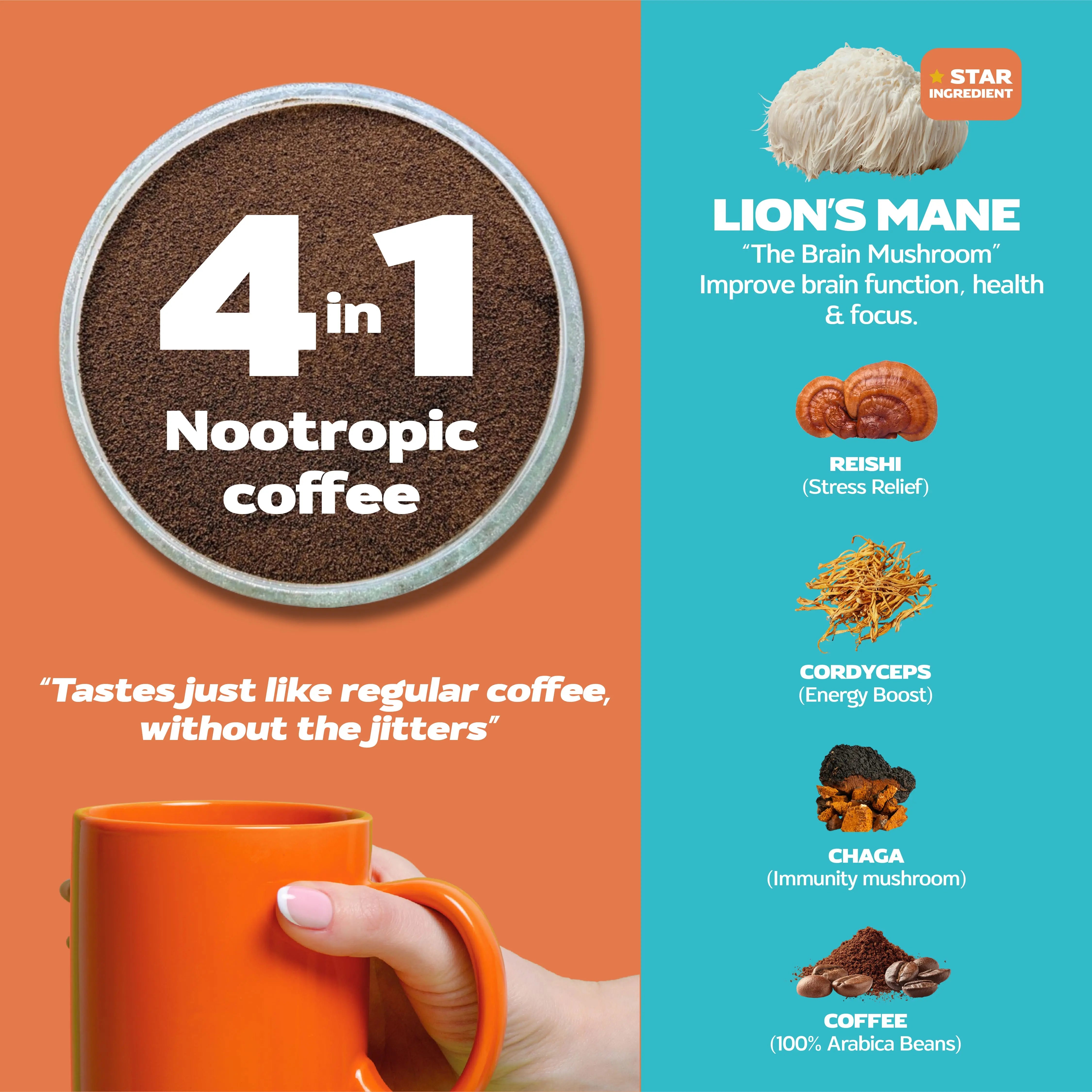 FOCUS – Instant Mushroom Coffee for Focus, Calm & Natural Energy Mushroomy Pakistan
