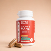 Lion’s Mane with Sea Buckthorn Mushroomy Pakistan