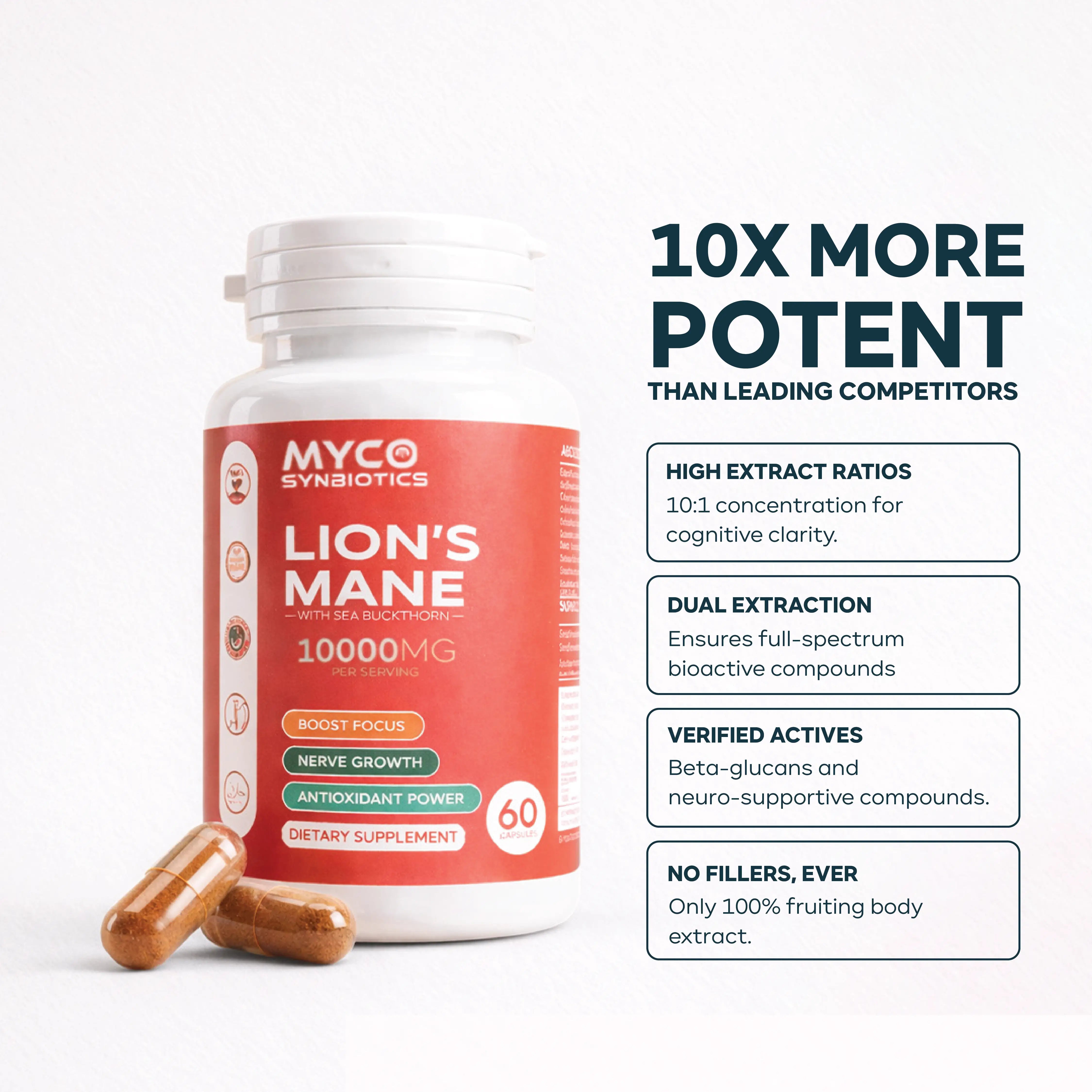 Lion’s Mane with Sea Buckthorn Mushroomy Pakistan