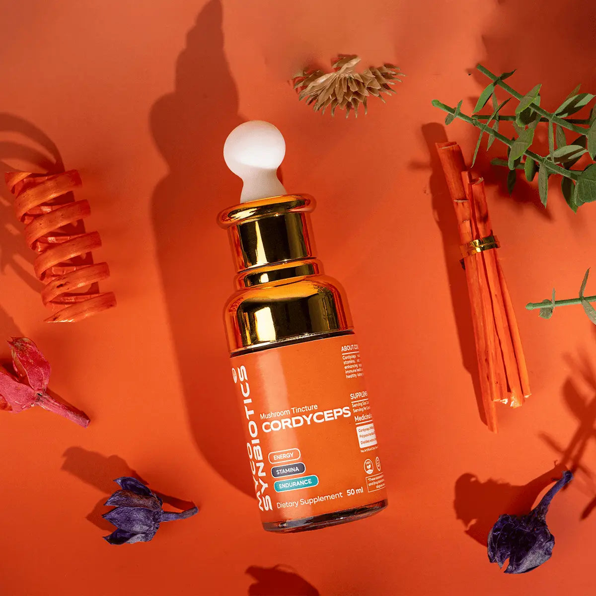 Cordyceps Mushroom Extract Mushroomy Pakistan