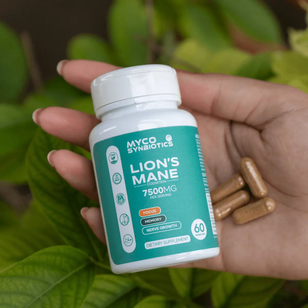 Lion's Mane Mushroom Capsules – Organic Brain-Health Supplement Mushroomy Pakistan