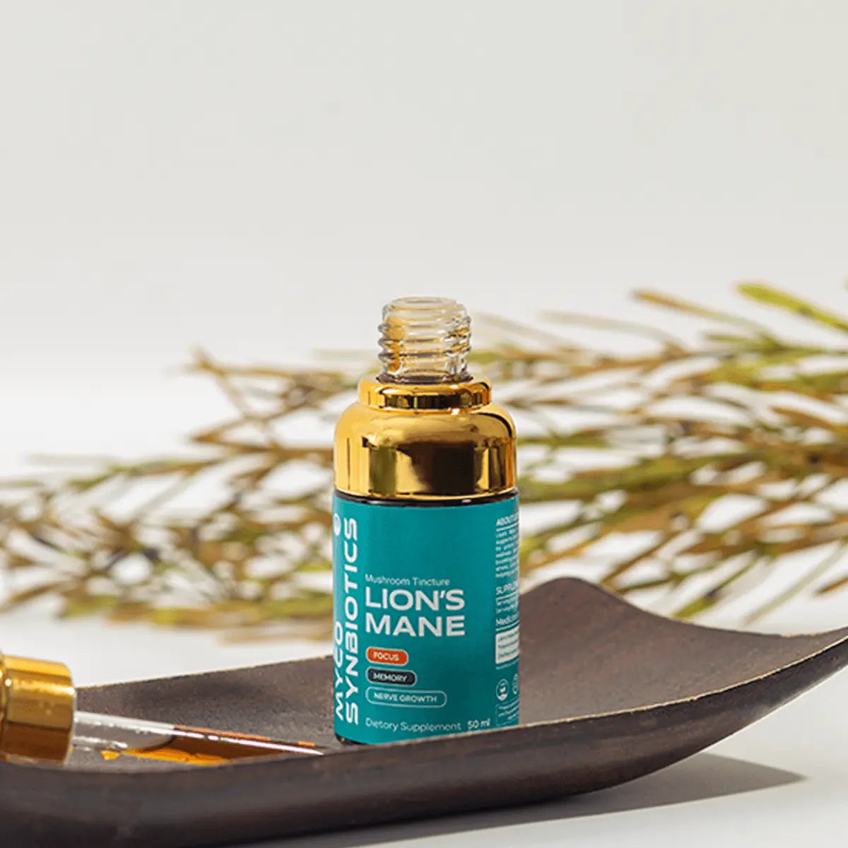 Lion's Mane Mushroom Extract Mushroomy Pakistan