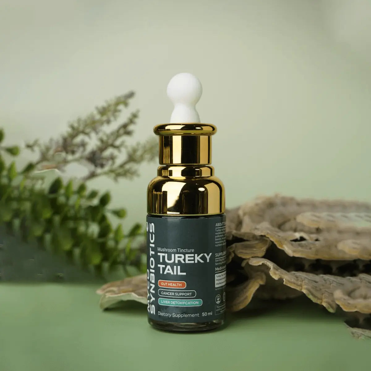 Turkey Tail Mushroom Extract Mushroomy Pakistan